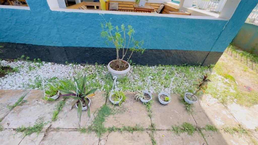 דאר א-סאלאם Gallivanters Hostel מראה חיצוני תמונה